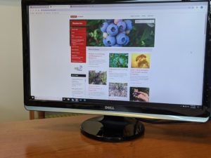 computer monitor with website
