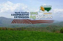 WNC AgOptions logo