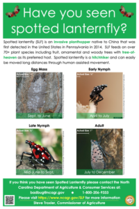 Cover photo for Spotted Lanternfly