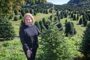 tree farm