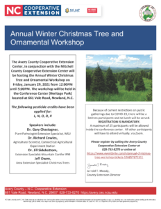 Cover photo for Annual Christmas Tree and Ornamental Workshop