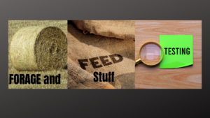 Cover photo for Forage and Feed Stuff Testing