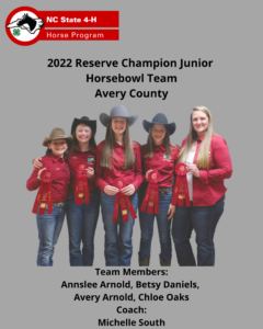 Cover photo for Avery County 4-H Saddle Club Wins Honors