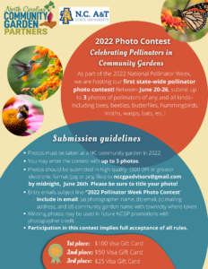 Cover photo for 2022 Photo Contest-Celebrating Pollinators in Community Gardens