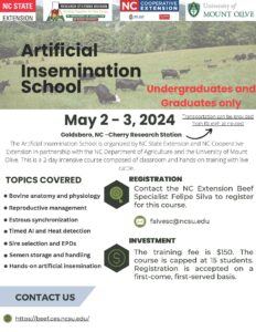 AI School Flyer