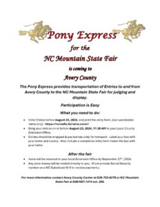 Cover photo for NC Mountain State Fair Pony Express